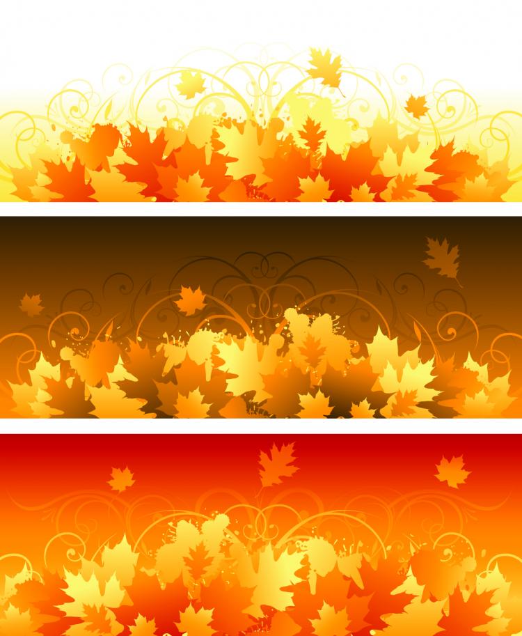 free vector Beautiful autumn leaves vector